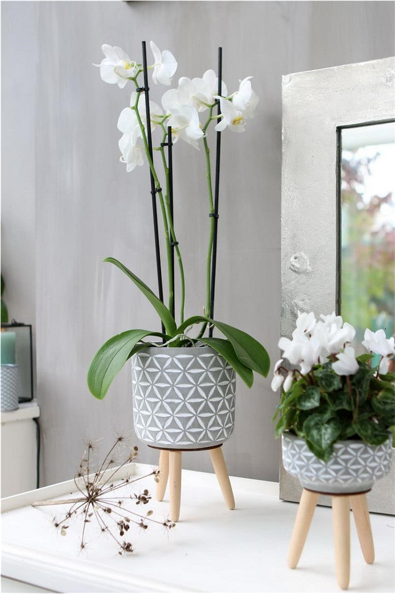 Cement pot with pattern and wooden legs h.21.5 Ø14 cm