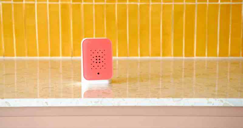 Junglebox Rosy