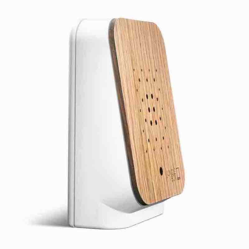 Junglebox Oak