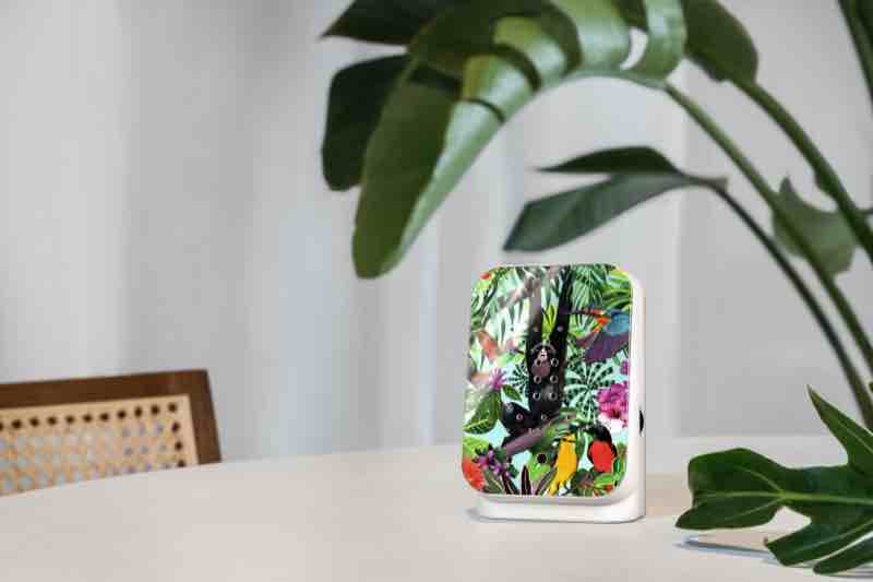 Junglebox Tropic