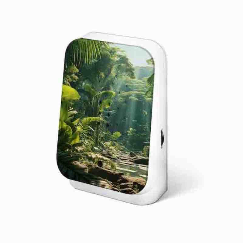 Junglebox Maliau