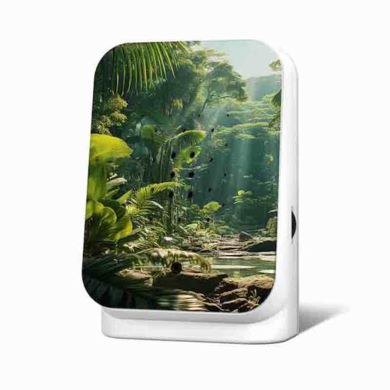 Junglebox Maliau