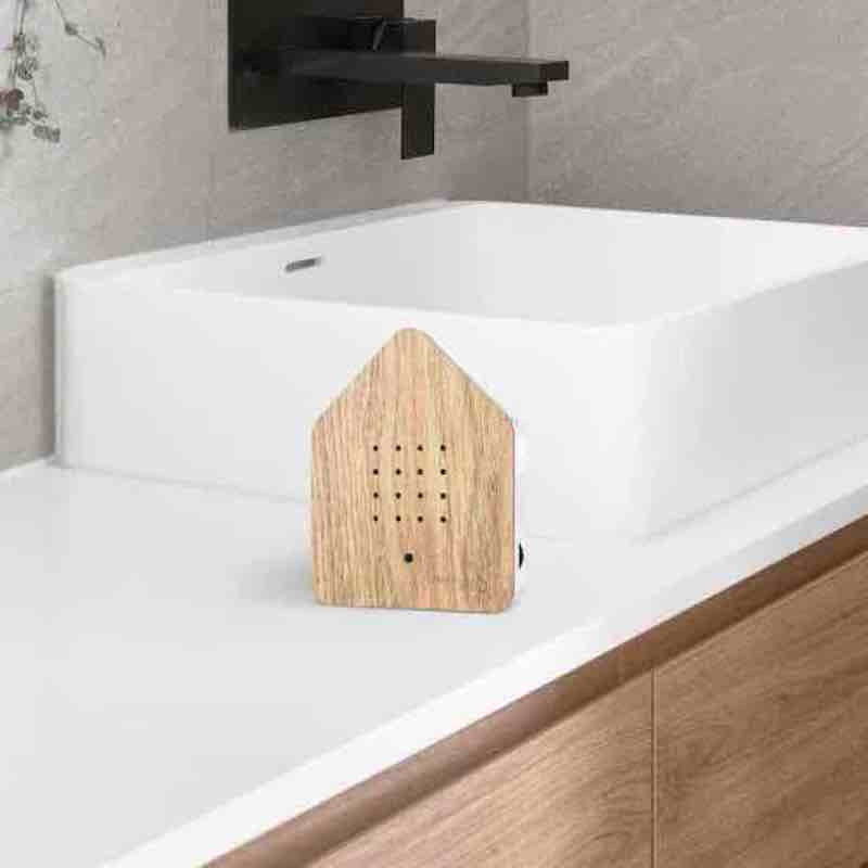 Zwitscherbox Oak