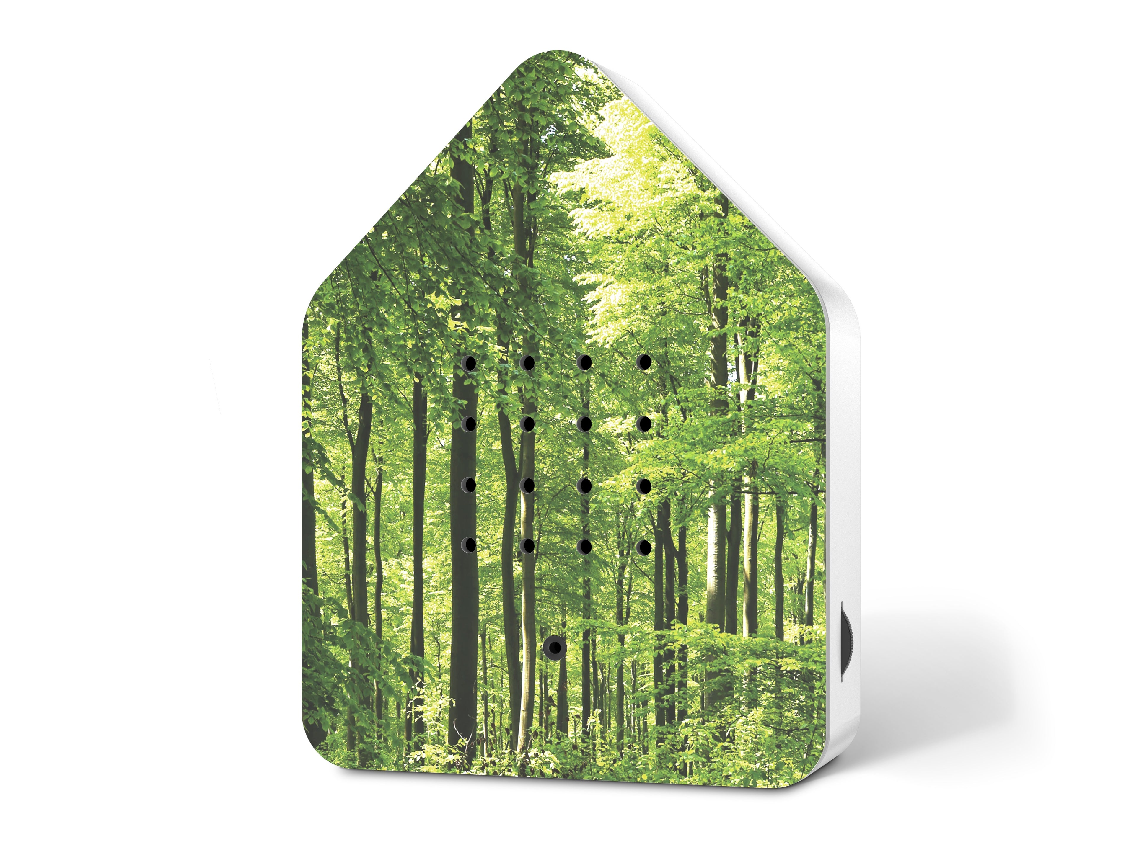 Zwitscherbox Forest — Relaxound