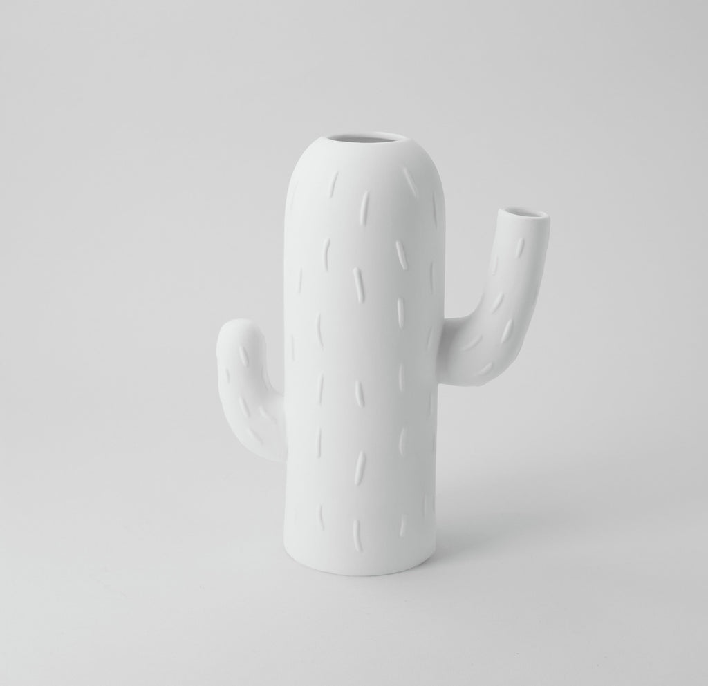 Cactus vase 15x7,5x20cm — Räder