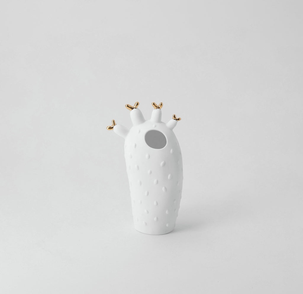 Cactus vase 8,5x6x15cm — Räder