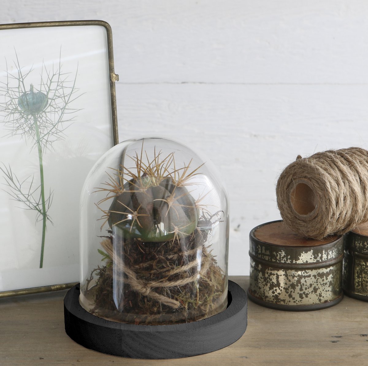 Ideas 4 Seasons Dome with wooden base Ø10 h.10 cm — Ideas4Seasons