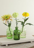 Ideas 4 Seasons Riga vase Ø7 h.12 cm green ass. — Ideas4Seasons