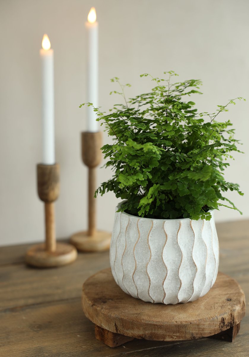 Ideas 4 Seasons Wave pot cement Ø16,8 h.13 cm creme gold — Ideas4Seasons