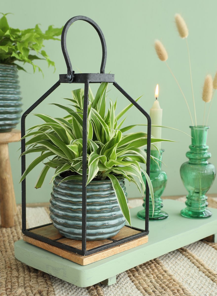 Ideas 4 Seasons Rise pot Ø8 h.6.5 cm dark green — Ideas4Seasons