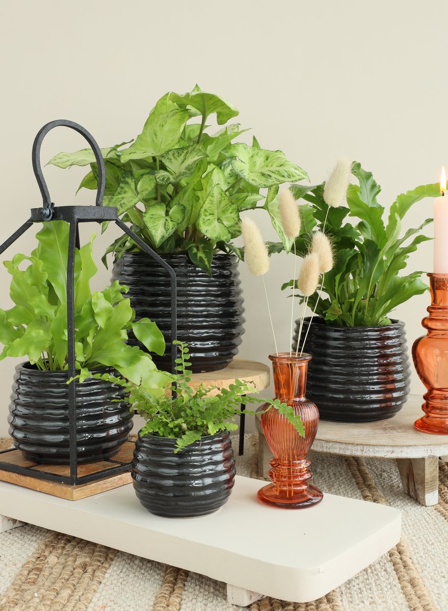 Ideas 4 Seasons Rise pot Ø15.5 h.13 cm black anthracite — Ideas4Seasons