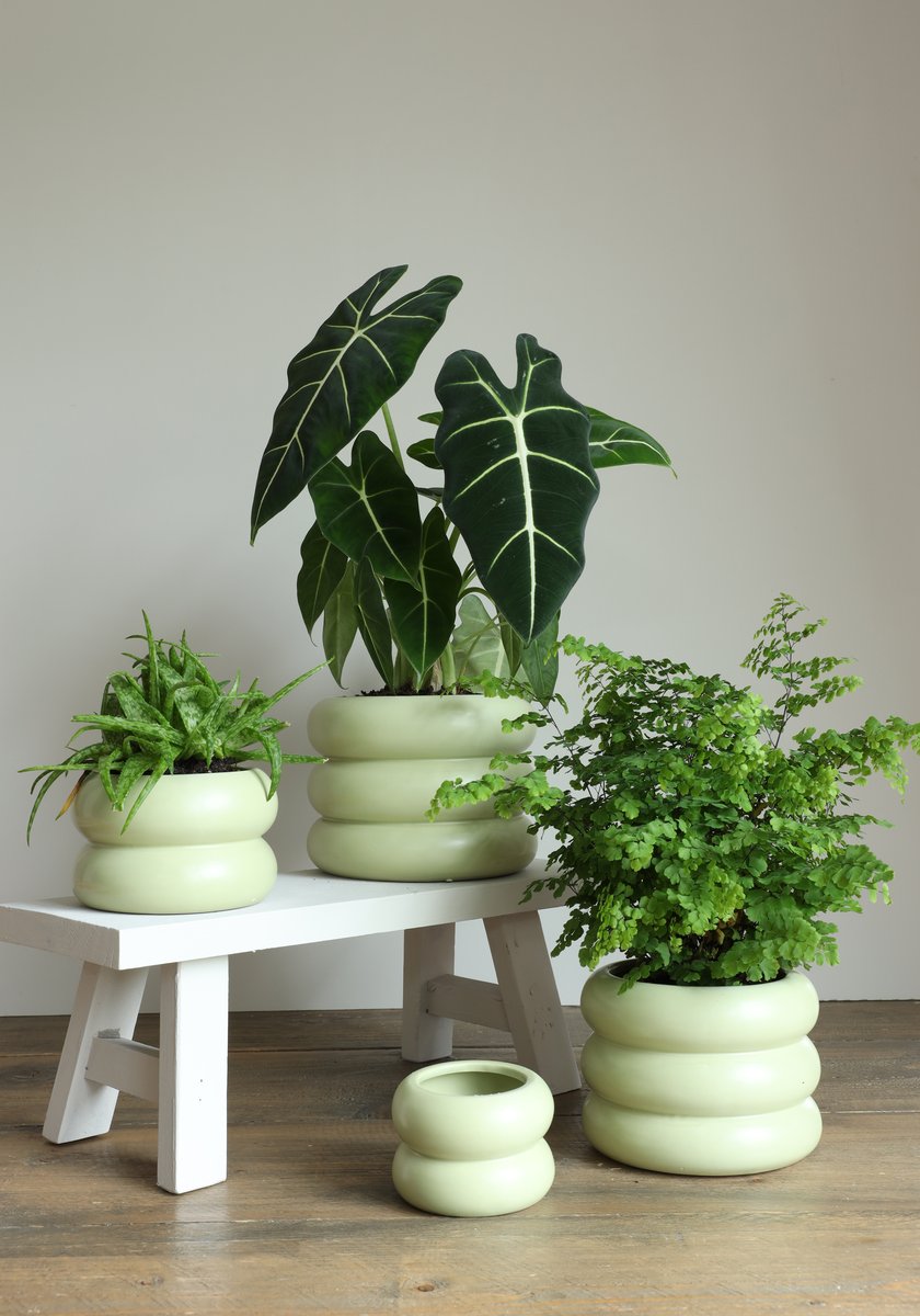 Ideas 4 Seasons Chubby flower pot Ø12,5 x h.8,2 cm jade green — Ideas4Seasons