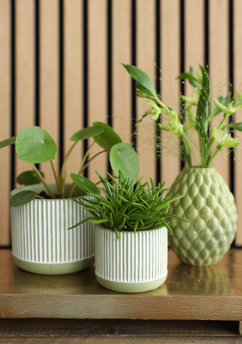 Ideas 4 Seasons Pot Lines Ø10 h.8 cm soft green — Ideas4Seasons