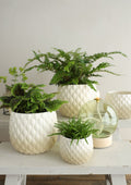 Ideas 4 Seasons Pot Bubbles Ø8,5 h.6 cm creme sand — Ideas4Seasons