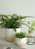 Ideas 4 Seasons Pot Bubbles Ø16,5 h.13,5 cm creme sand — Ideas4Seasons