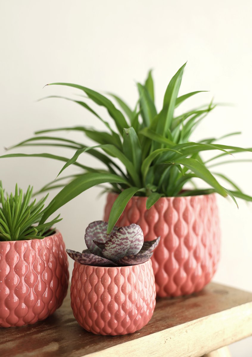 Ideas 4 Seasons Pot Bubbles Ø8,5 h.6 cm terra pink — Ideas4Seasons