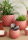 Ideas 4 Seasons Pot Bubbles Ø16,5 h.13,5 cm terra pink — Ideas4Seasons