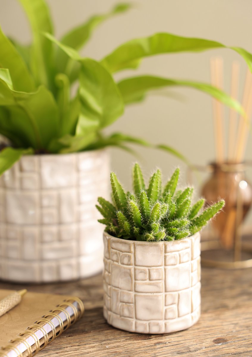Ideas 4 Seasons Pot Carré Ø8 x h.7,5 cm creme — Ideas4Seasons
