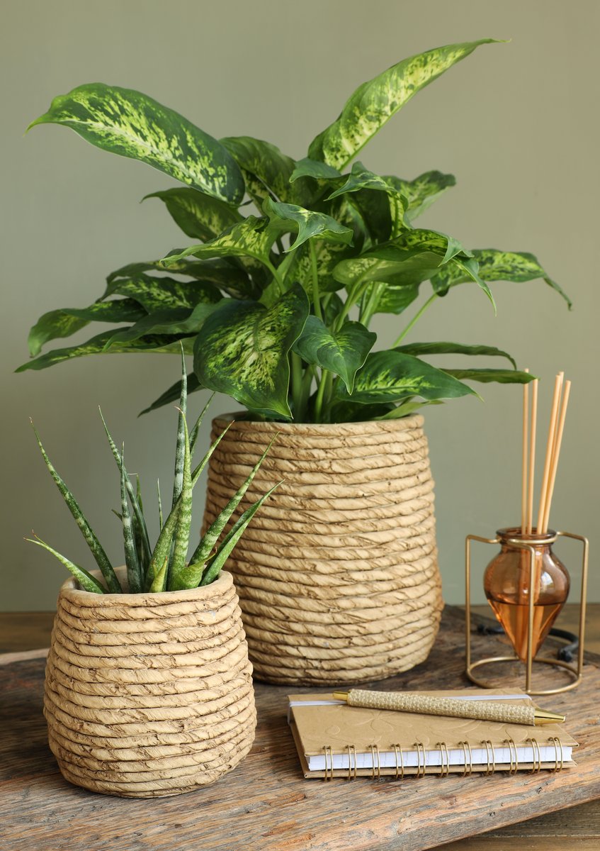 Ideas 4 Seasons Pot Palma Ø12 x h.11 cm — Ideas4Seasons