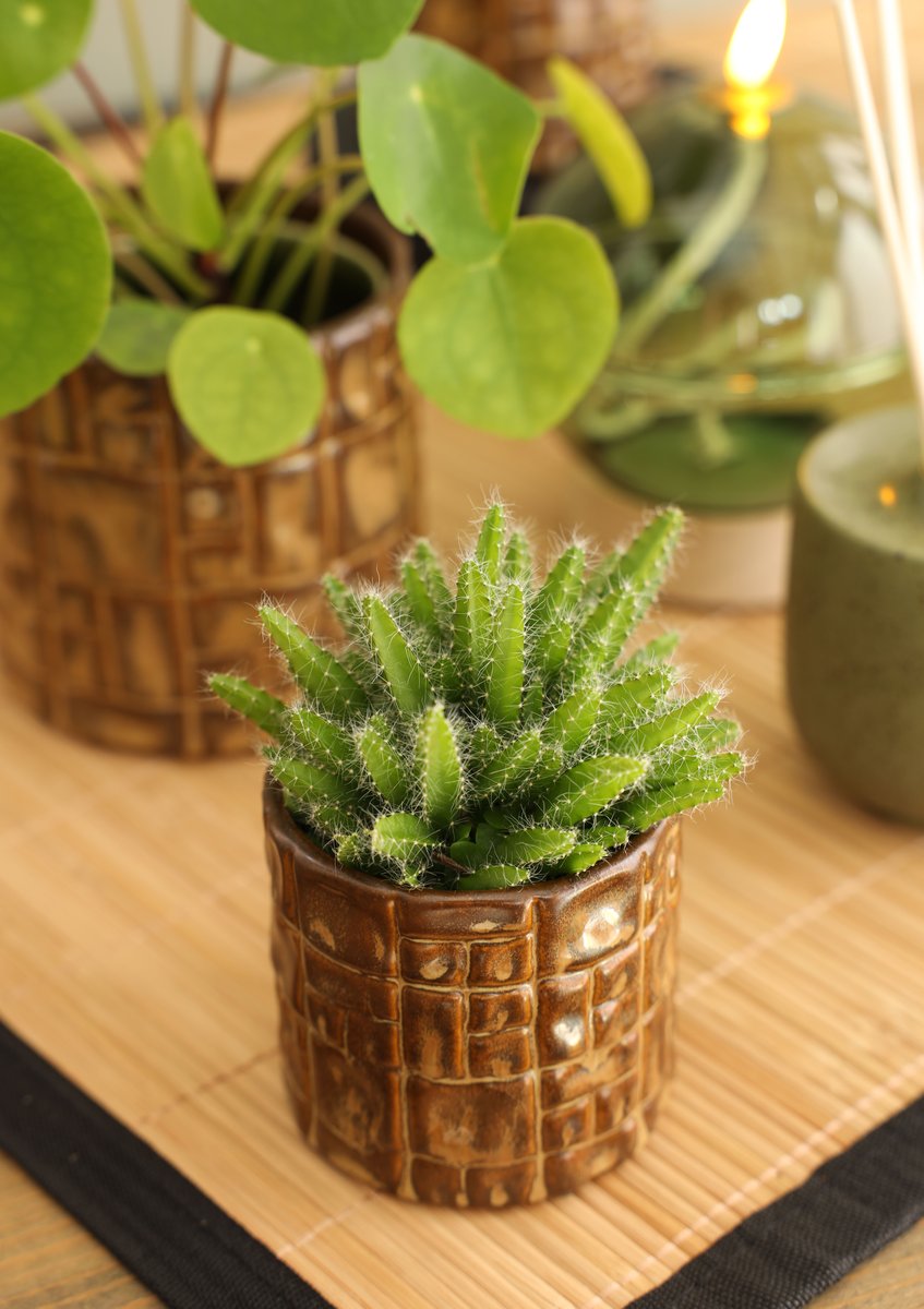Ideas 4 Seasons Pot Carré Ø8 x h.7,5 cm brown — Ideas4Seasons