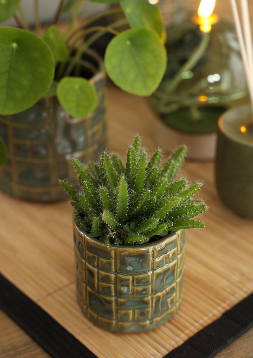 Ideas 4 Seasons Pot Carré Ø8 x h.7,5 cm green — Ideas4Seasons