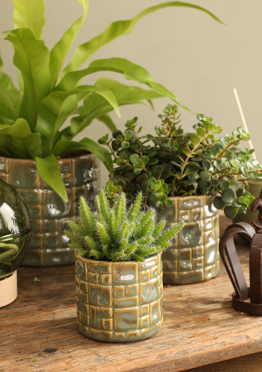 Ideas 4 Seasons Pot Carré Ø11,5 x h.11 cm green — Ideas4Seasons