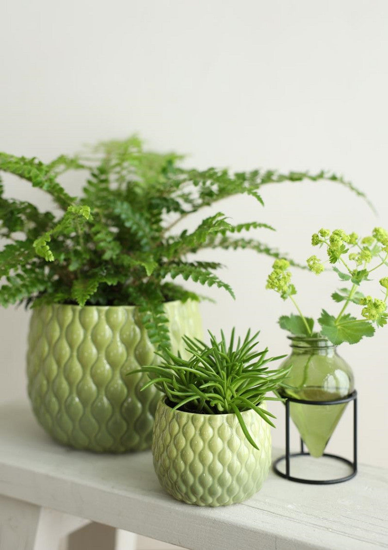 Pot Bubbles Ø10,5 h.9 cm soft green