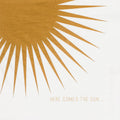 Napkin Take a break here comes the sun 33x33cm — Räder