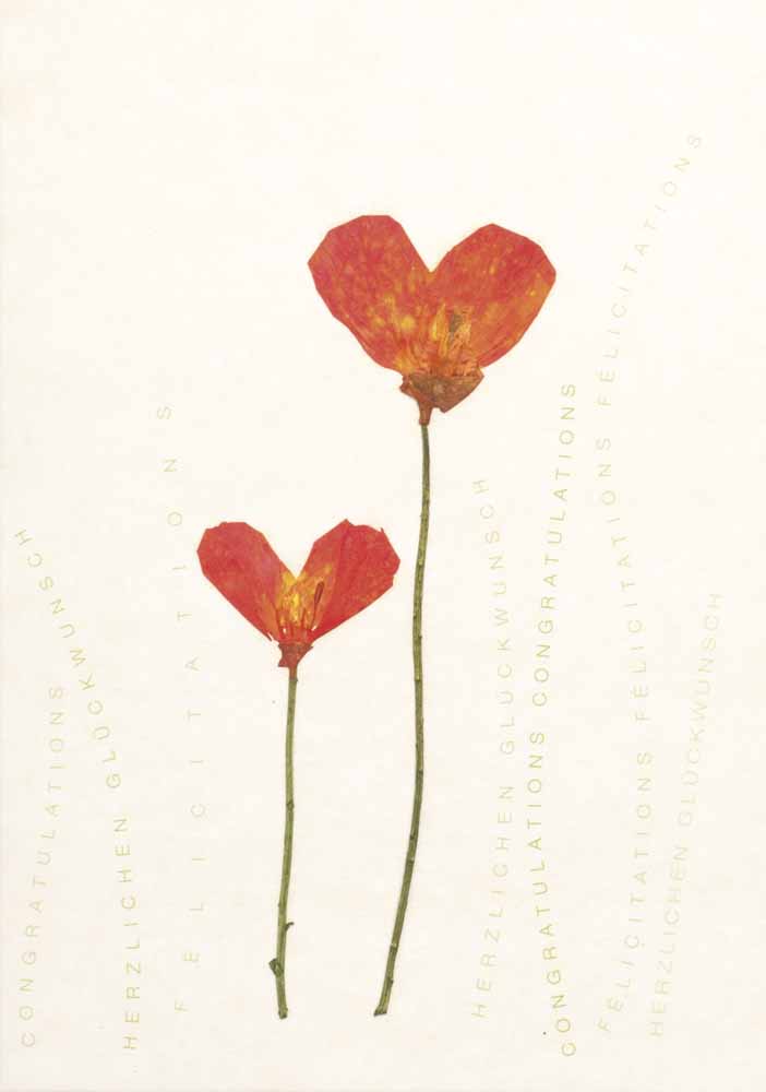 Rader Heartflowers card — Räder