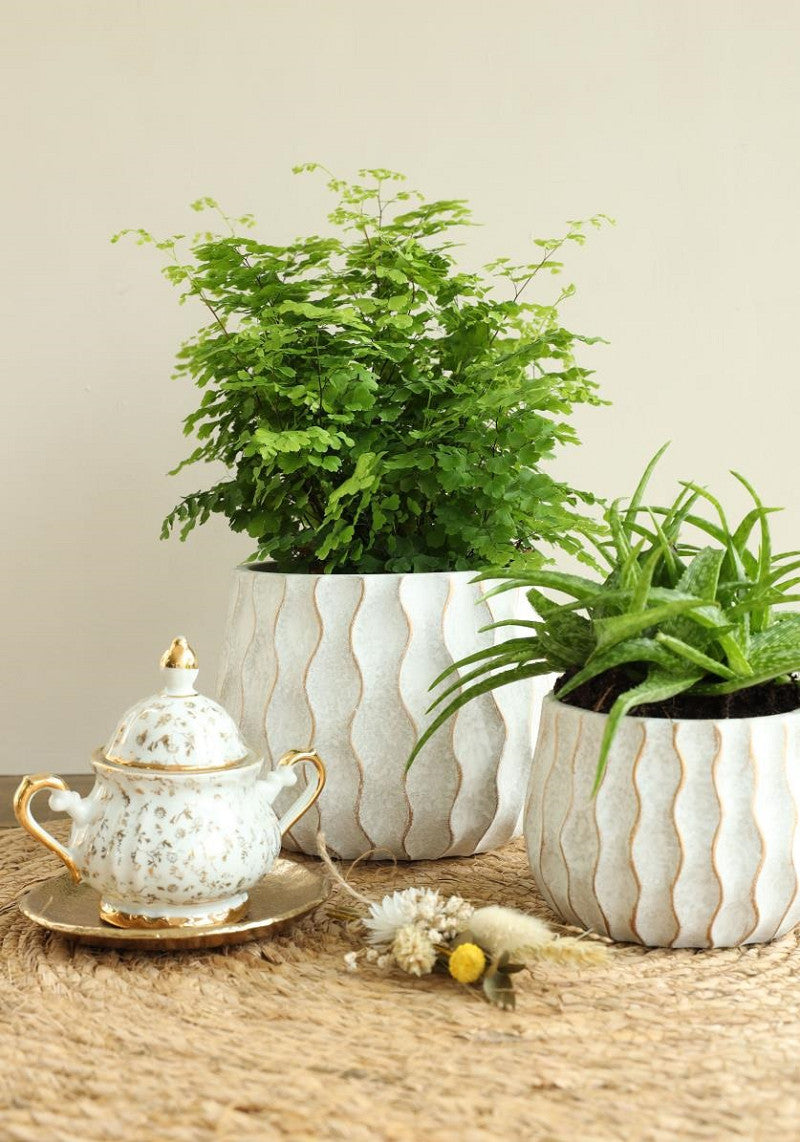 Wave pot cement Ø16,8 h.13 cm creme gold