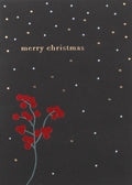 Rader Christmas post Merry christmas — Räder