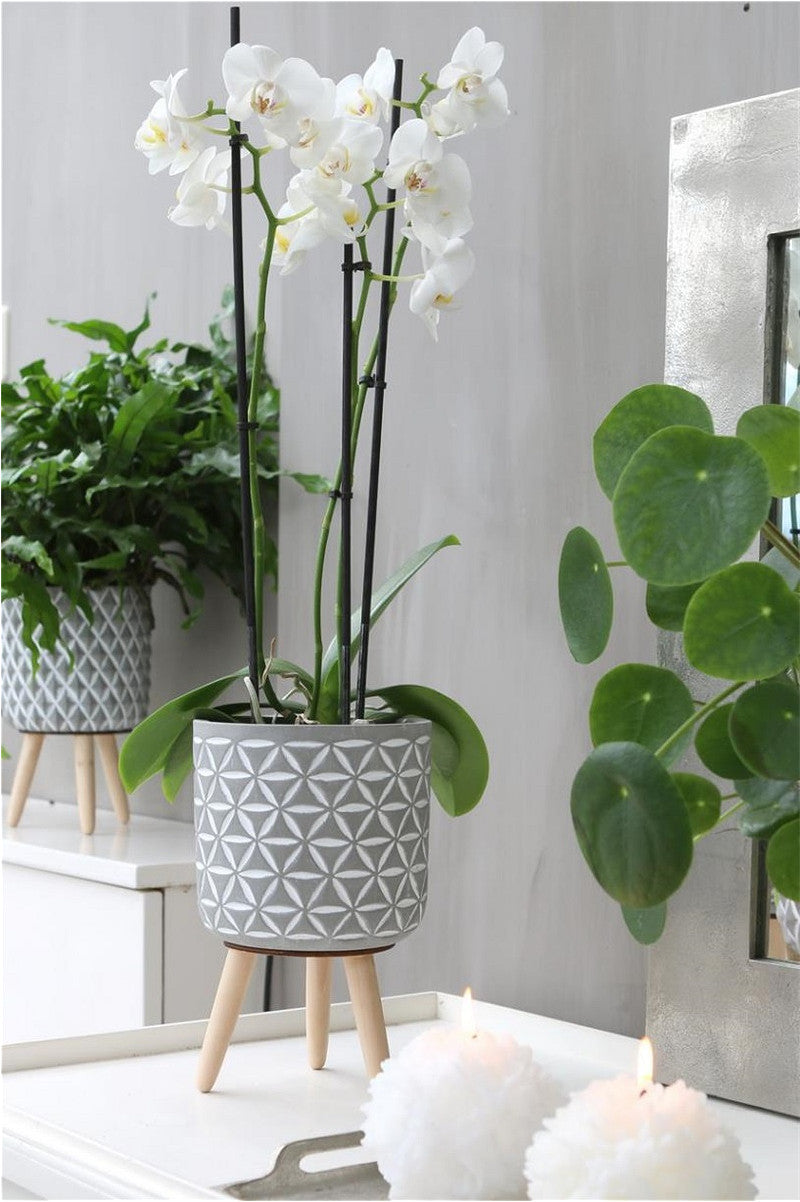 Cement pot with pattern and wooden legs h.21.5 Ø14 cm