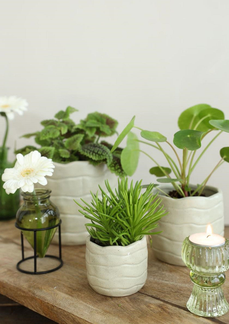 Bricks pot Ø7,5 h.6,5 cm creme