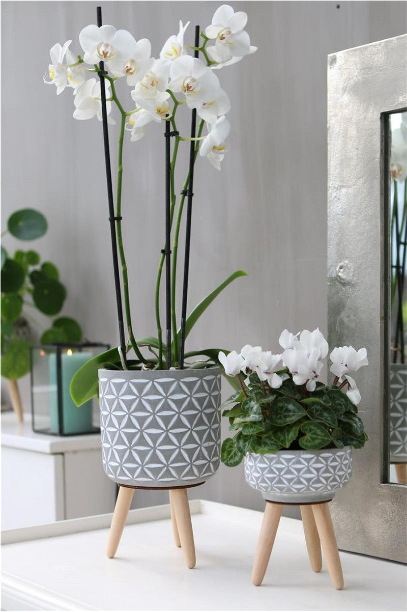 Cement pot with pattern and wooden legs h.21.5 Ø14 cm