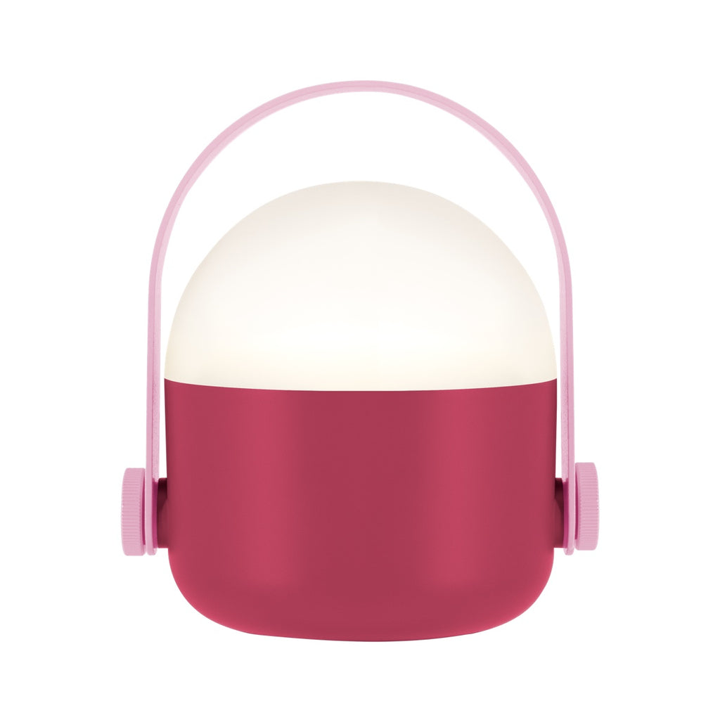 OLE Light Berry — Remember