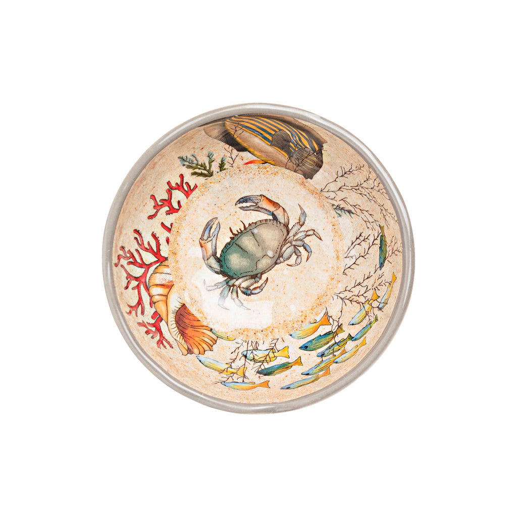 Sea Life Ciotola 15 Cm — Lenet