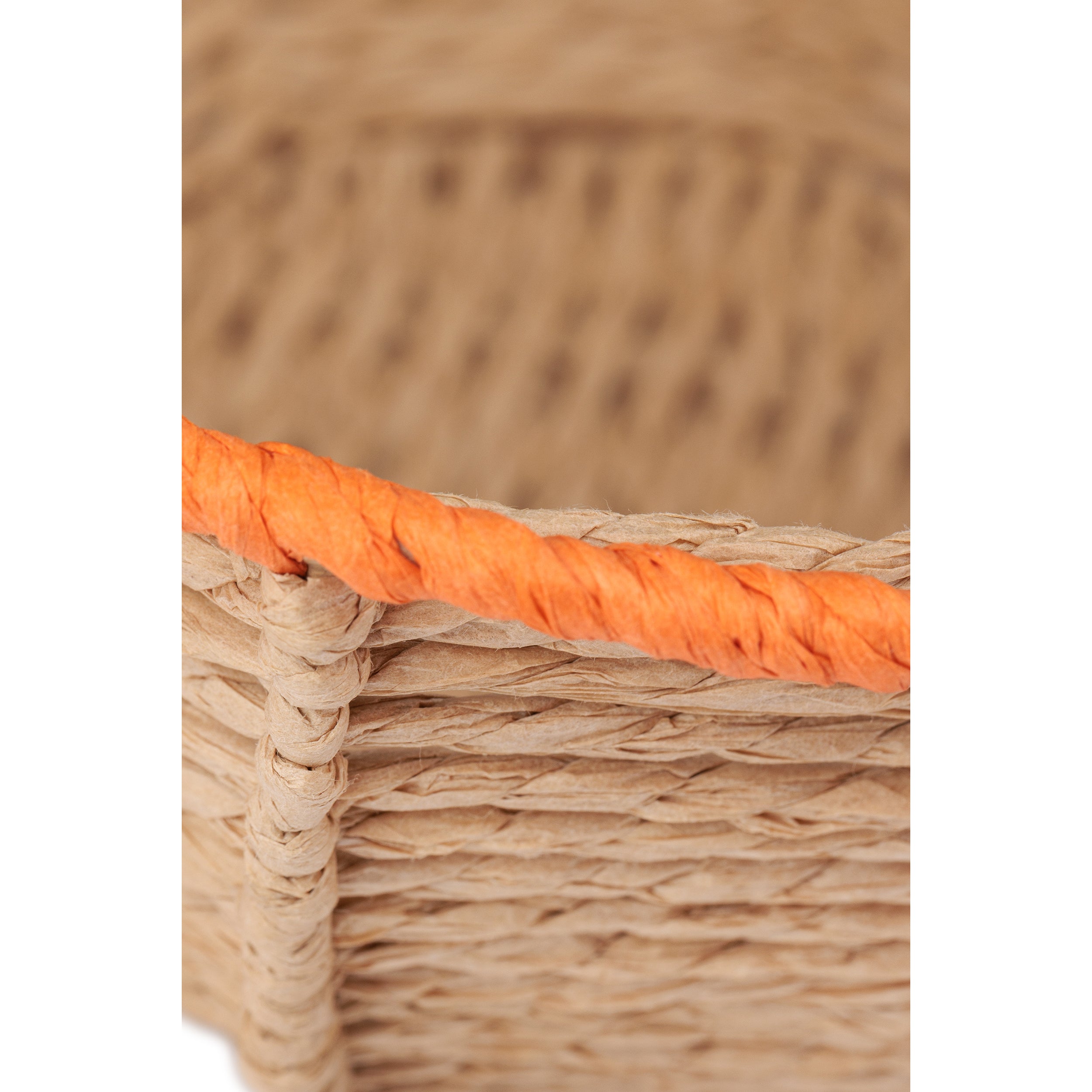 Incarta Sea Turtle Basket