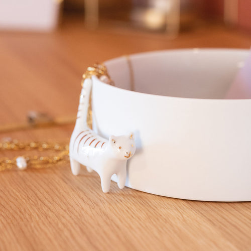 Bowl cat