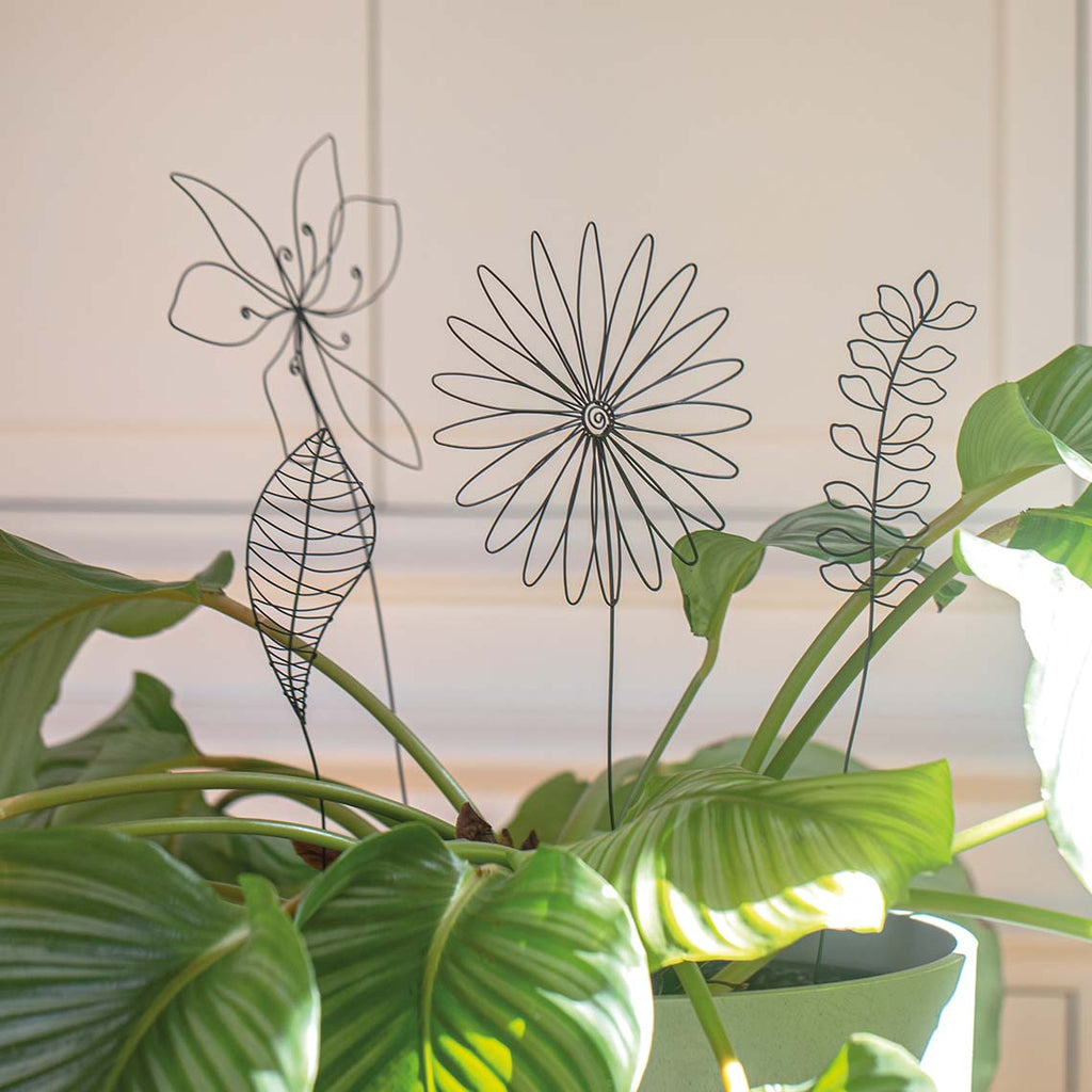 Rader Wire object flower